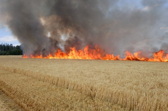 V posledních dnech výrazně přibývá požárů na polích
