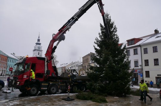 Strom už stojí