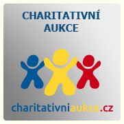 Představujeme charitativní aukce společnosti Světýlko