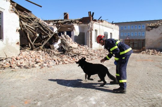 Hasiči se psy hledali v sutinách jatek zavalené osoby. Měli cvičení