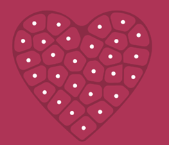 Nábor hrdinů do registru dárců kostní dřeně proběhne již tento pátek