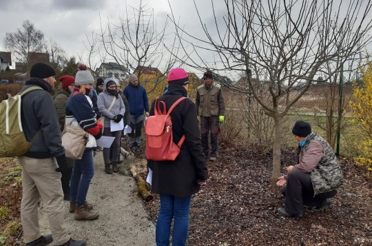 Naučte se řezat ovocné stromy