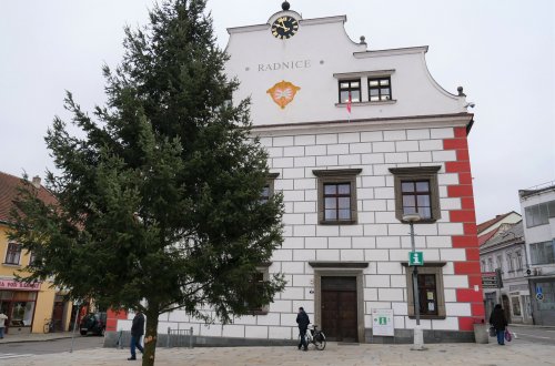  Před radnicí už stojí vánoční strom. Rozzáří se v neděli 1. prosince