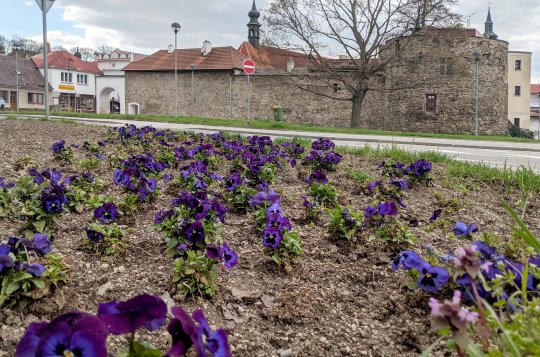 S jarem začne nejen výsadba květin
