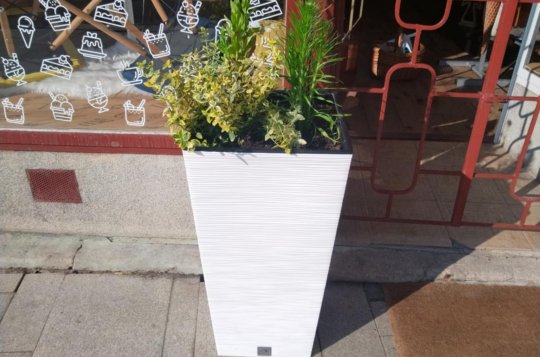 Strážníci dopadli zloděje