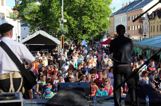 Z grantu na kulturu je zatím rozděleno 125.000 korun