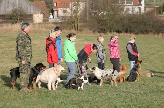 Kynologové v Martinicích pořádali Legrando závod