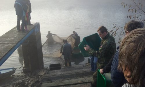 V Šeborově opět proběhl velice příjemný výlov rybníka 