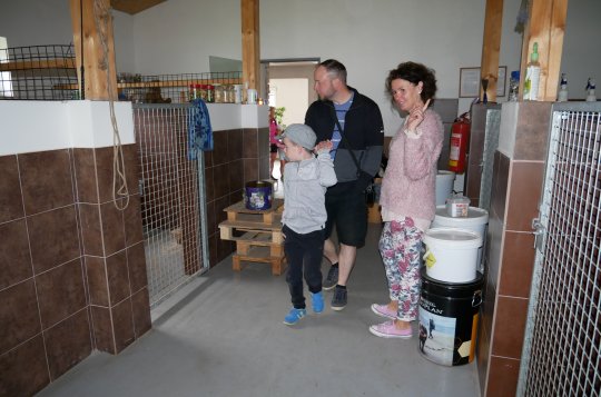 Dva němečtí ovčáci vítali v psím útulku