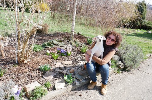 Helena Krátká: Nejrychleji mizí štěňata