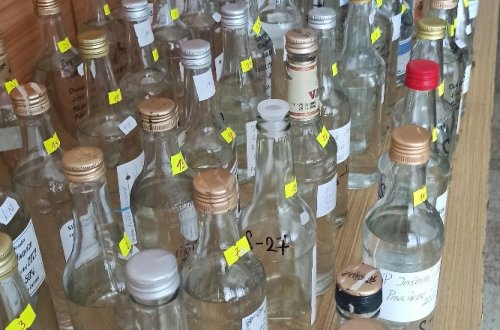 Košt pálenek se už blíží