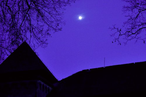 Muzeum opět ožije nočními prohlídkami