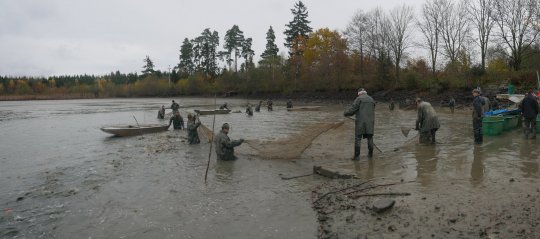 Rybářství zve ve svátek 28. října na výlov Netínského rybníka