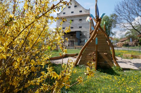 O městská sportoviště se postará nová příspěvková organizace