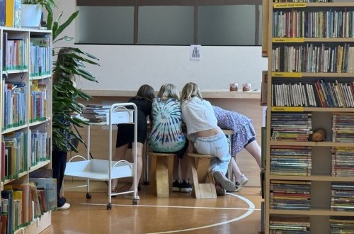 Divoký západ v knihovně: Hra, která se stala hitem léta