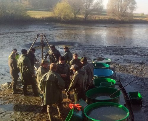 Výlov Podhorského rybníka obohatilo pasování rybářů