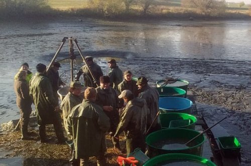 Výlov Podhorského rybníka obohatilo pasování rybářů