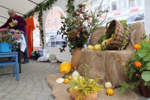 Zářijové Dny zdraví nabídnou program pro děti i místní produkty