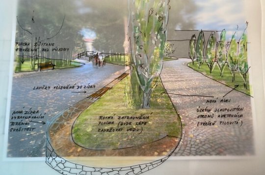 Na hřbitově se začne pracovat v srpnu