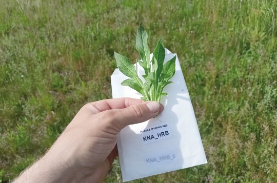 Květnaté meziříčské louky slouží vědě