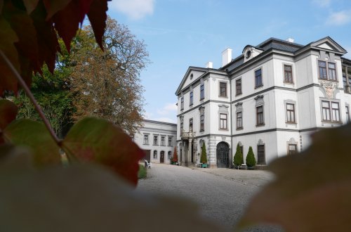 Muzeum opět nabídne bezplatný vstup