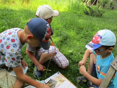 Žáci ze Lhotek zkoumali život v lese