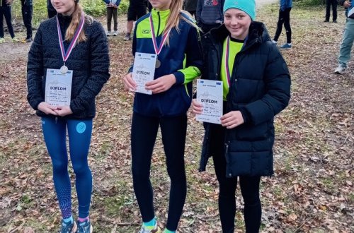 V lesoparku Heulos se závodilo o tituly v přespolním běhu