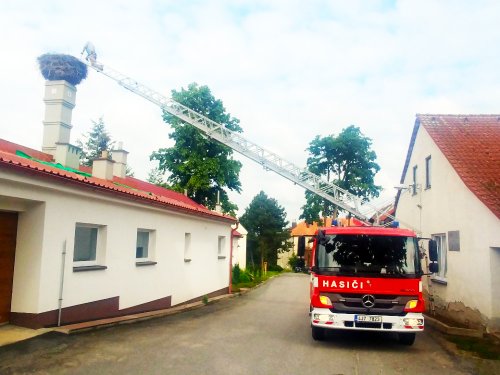 Čápi mají díky hasičům na nohou kroužky