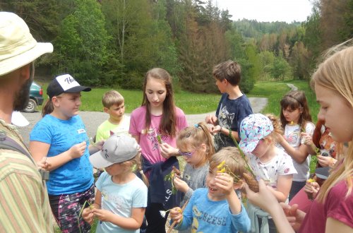 Žáci ze Lhotek se zúčastnili pobytového programu v Balinách "Co se děje v zahradě"