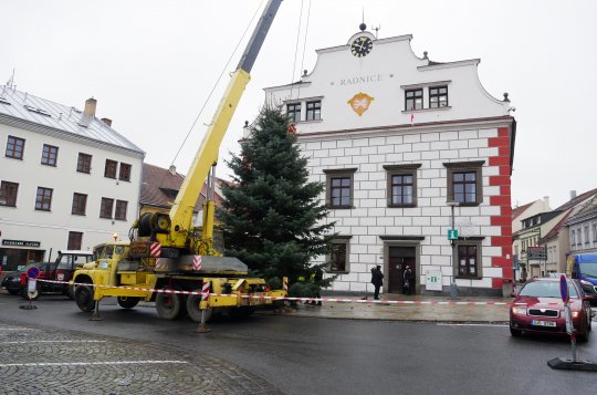 Jedle ojíněná se tyčí před radnicí