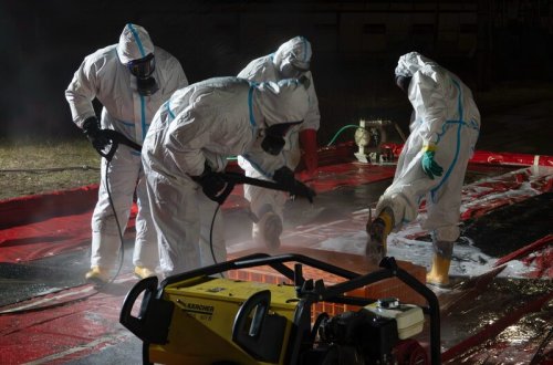 Poblíž Velkého Meziříčí jsou další dvě ohniska ptačí chřipky