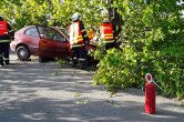 U Moravce narazila řidička s osobním vozidlem do stromu, skončila v péči zdravotníků
