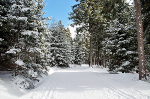 Ski areál Fajtův kopec připravuje stopy pro běžkaře