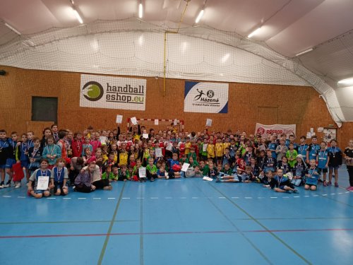 Minižáci házené získali na přeborech České obce sokolské zlaté medaile