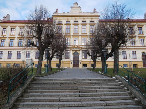 Gymnázium nabízí online návštěvu