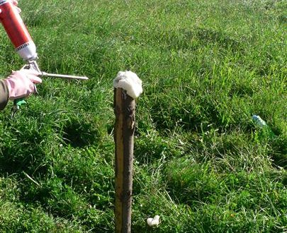 Pachové ohradníky chrání řidiče před střety se zvěří na 130 km silnic na Vysočině