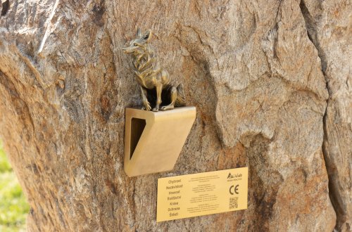 Srdce Fajťáku doplnila liška