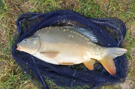 V Šeborově zvítězil Vlastimil Celý z Jaroměřic nad Rokytnou