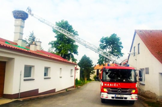 Čápi mají díky hasičům na nohou kroužky