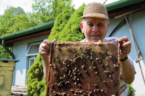 Ke včelám patří klidný člověk