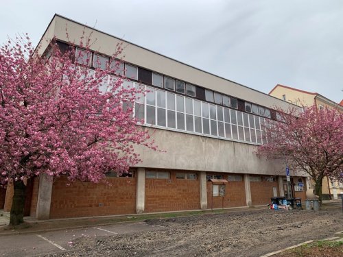 Práce v tělocvičně začaly