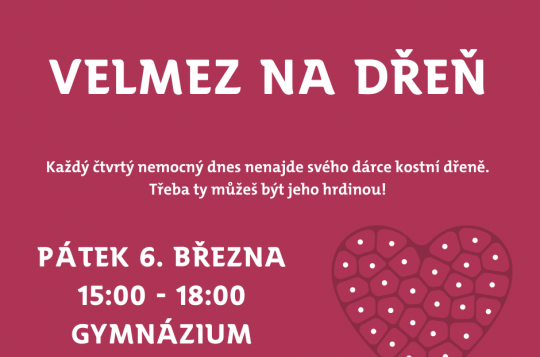 Zapojením do akce VelMez na DŘEŇ můžete pomoct i malému Milánkovi