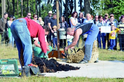 Chaloupky nabídnou putování za zlatým rounem