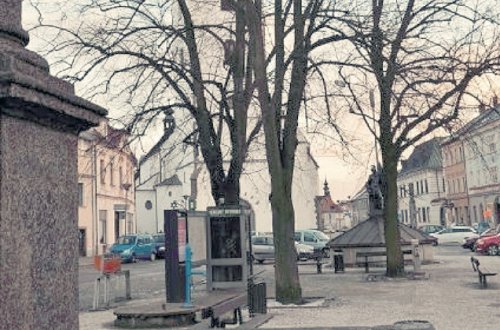 Meziříčská lípa je mezi letošními Stromy svobody