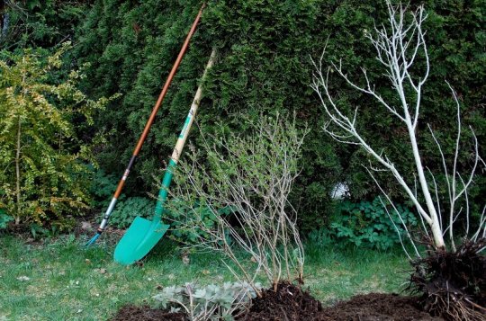 Most Vysočiny podpoří revitalizaci veřejných prostranství