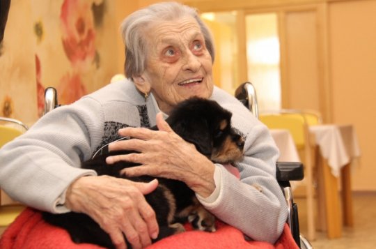 Potomci tibeťanky Carrie okouzlili seniory v Moravci