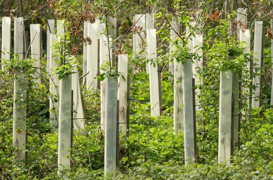 Spolek Jednoměsto uspořádal úspěšnou přednášku o záchraně lesů