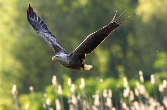 Hnízda zaslouží ochranu