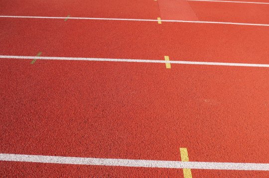 Umělka se zpřístupní veřejnosti