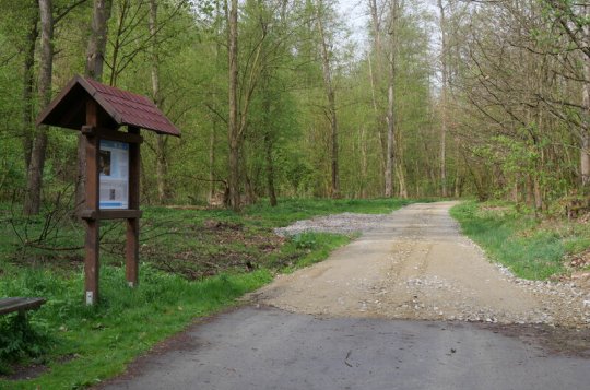 Stezky jsou zase o něco pohodlnější